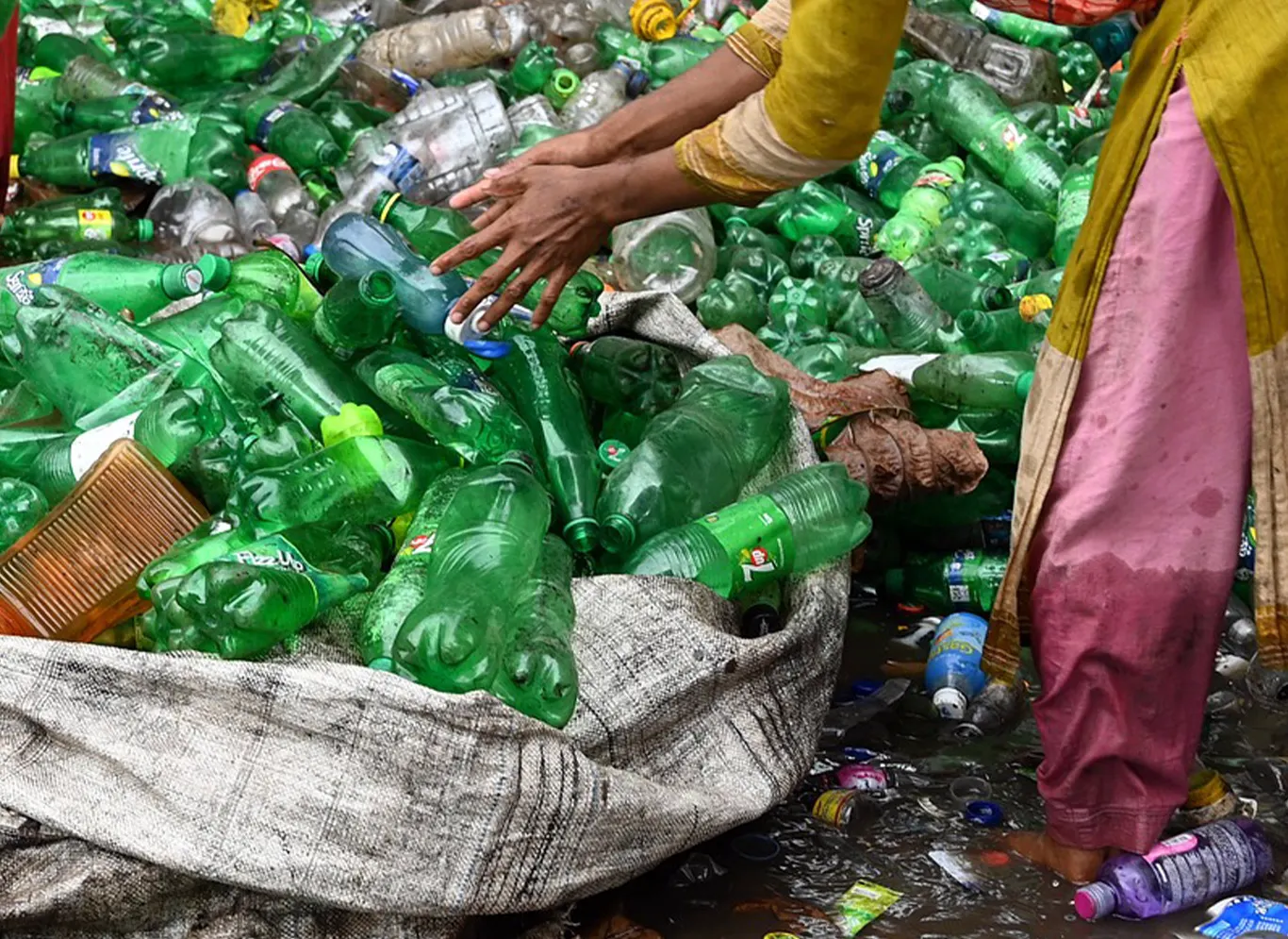 Woman sorting green plastic bottles