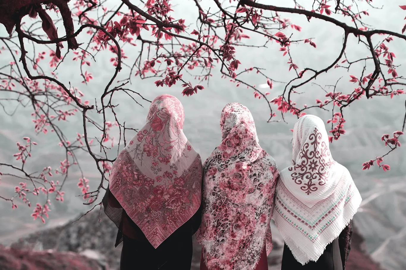 Back view of three women wearing headscarves and looking at view of mountains.